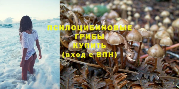 прущие крисы Армянск